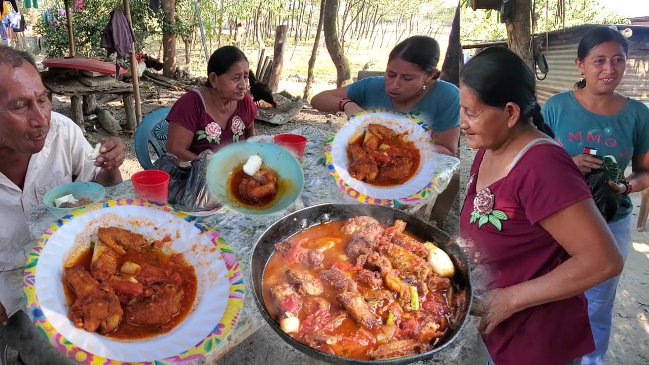 Asi disfrutamos LAs alitas de pollo en tomate y sebollada 😋🍗🤯