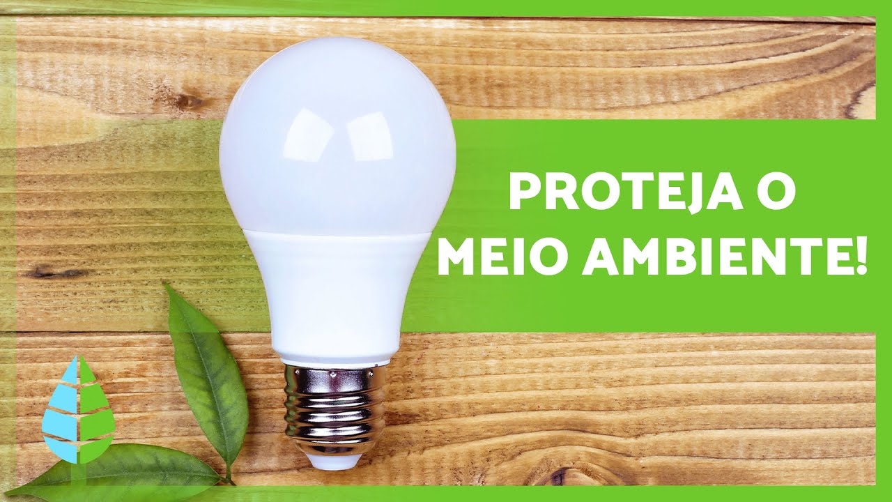 10 A&Ccedil;&Otilde;ES para CUIDAR do MEIO AMBIENTE 🌏✅
