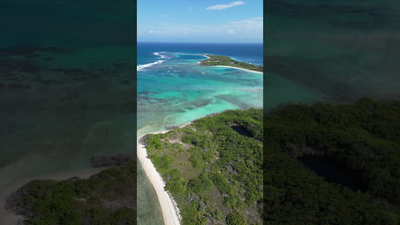 PLAYAS DE VENEZUELA - MORROCOY 