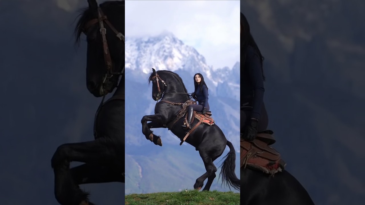 Stunning Girl Horse Riding 03|  #horse #horses #equestrianlife #chinesegirl#riding