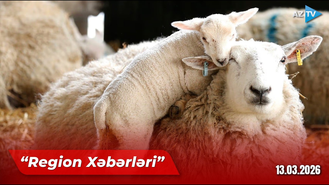 Region xəbərləri – 13.03.2026
