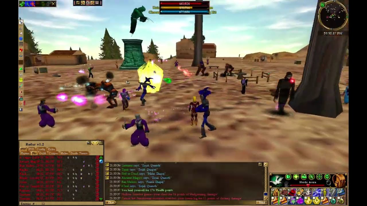 Asheron's Call PVP 2024! Ayan world boss fight!