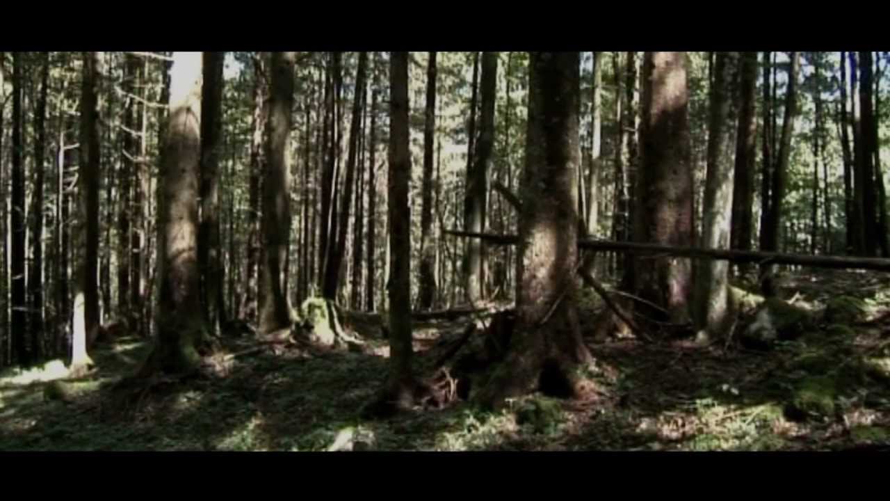 Novemberkinder - Fences (HD)