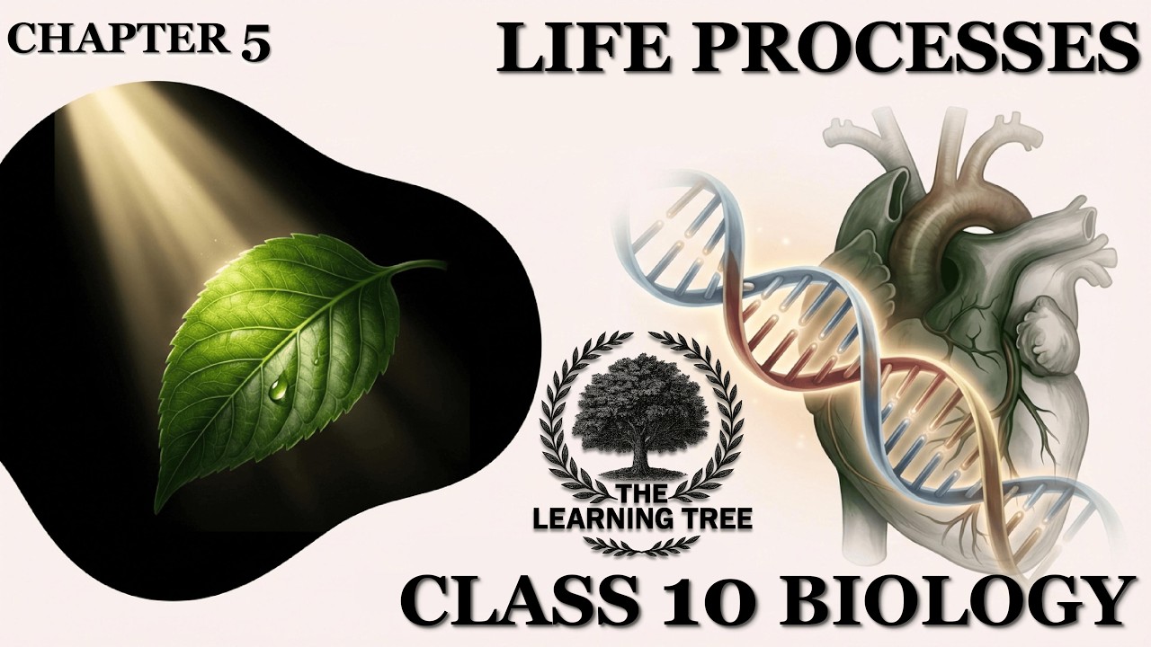 Life Processes Class 10 | Chapter Summary, Explanation, One Shot | Science Biology Chapter 5