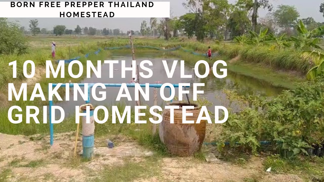 10 Months Vlog Making An Off Grid Homestead In Thailand. Self Reliance