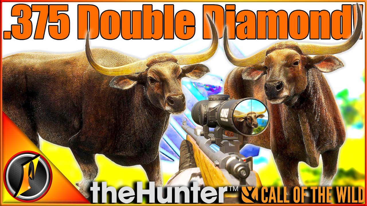 Двойной бриллиантовый бантенг с НОВЫМ 375! | theHunter Call of the Wild