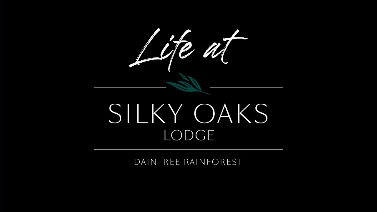 Life at Silky Oaks Lodge
