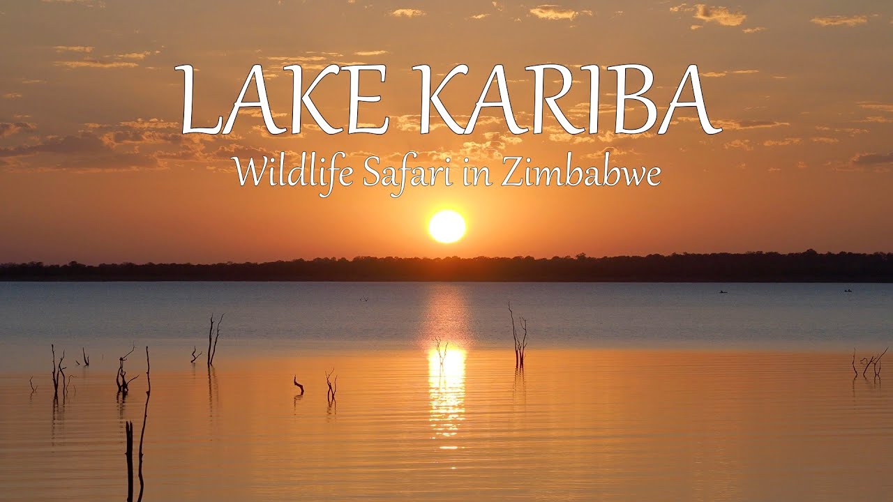 Birding and Wildlife Safari at Lake Kariba | Musango Island Safari Camp | Zimbabwe 2021 | 4K-Video