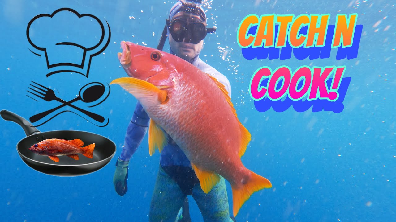 SPEARFISHING SNAPPER! Catch Clean Cook - Trinidad and Tobago