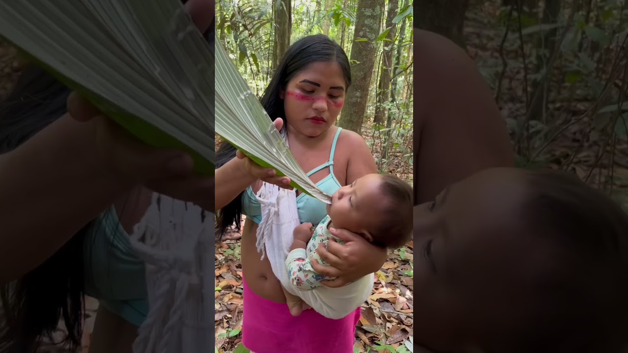 Alimentando filho na floresta