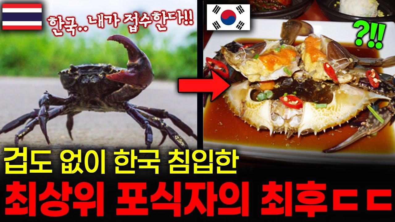 겁도 없이 한국 진출했다가 끔찍한 최후를 맞이한 외래종 TOP3