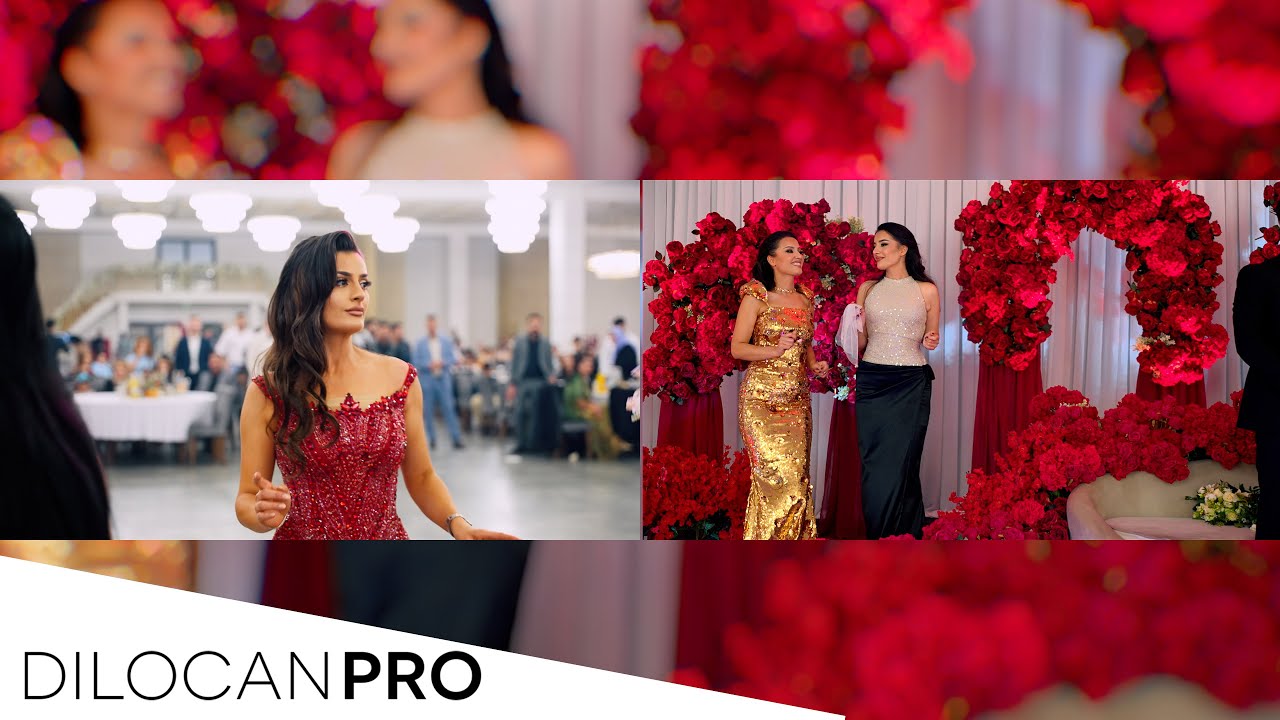 IMAD SELIM / DARVAN & HELIN / PART04 / #DilocanPro #Hochzeit #Wedding #Kurdish #Dilocan