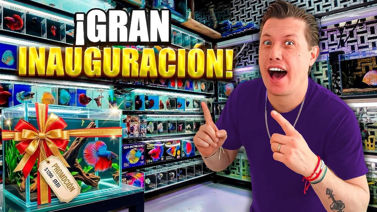 Gran INAUGURACION discos salvajes bettas flower horn gupis cíclidos goldfish y mas en descuento