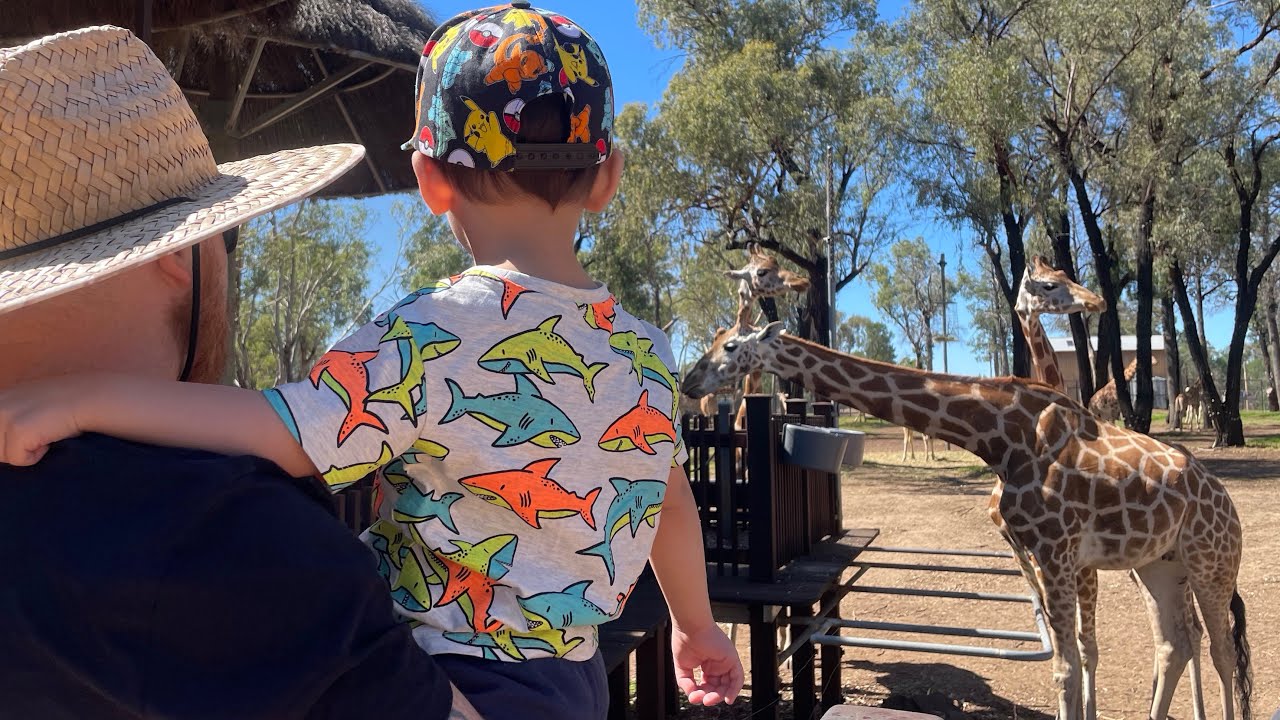 2025 | Dubbo Trip Day 2 | Driving an electric cart at Taronga Western Plains Zoo / Dubbo Zoo