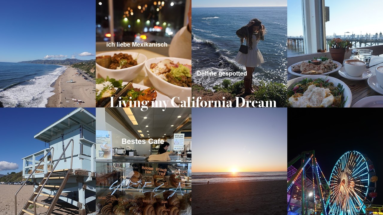 Vlogs mit Eva/ Living my California Dream - für mein jüngeres Ich wäre aus geflippt🐬🌊