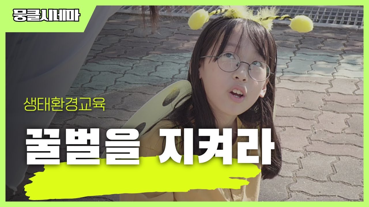 생태환경교육│꿀벌을 지켜라│[뭉클시네마]
