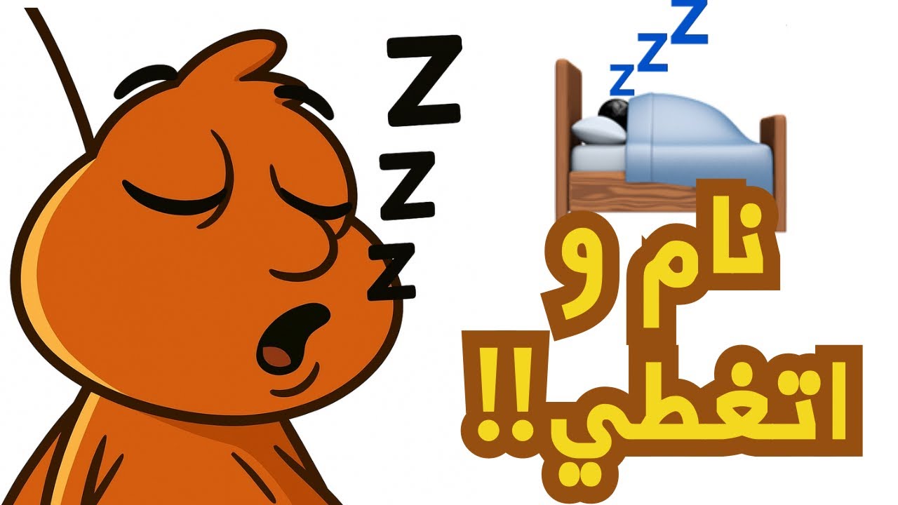 زيكو نام في نص المعركة 😂💤 | لعبة غرفة ونص