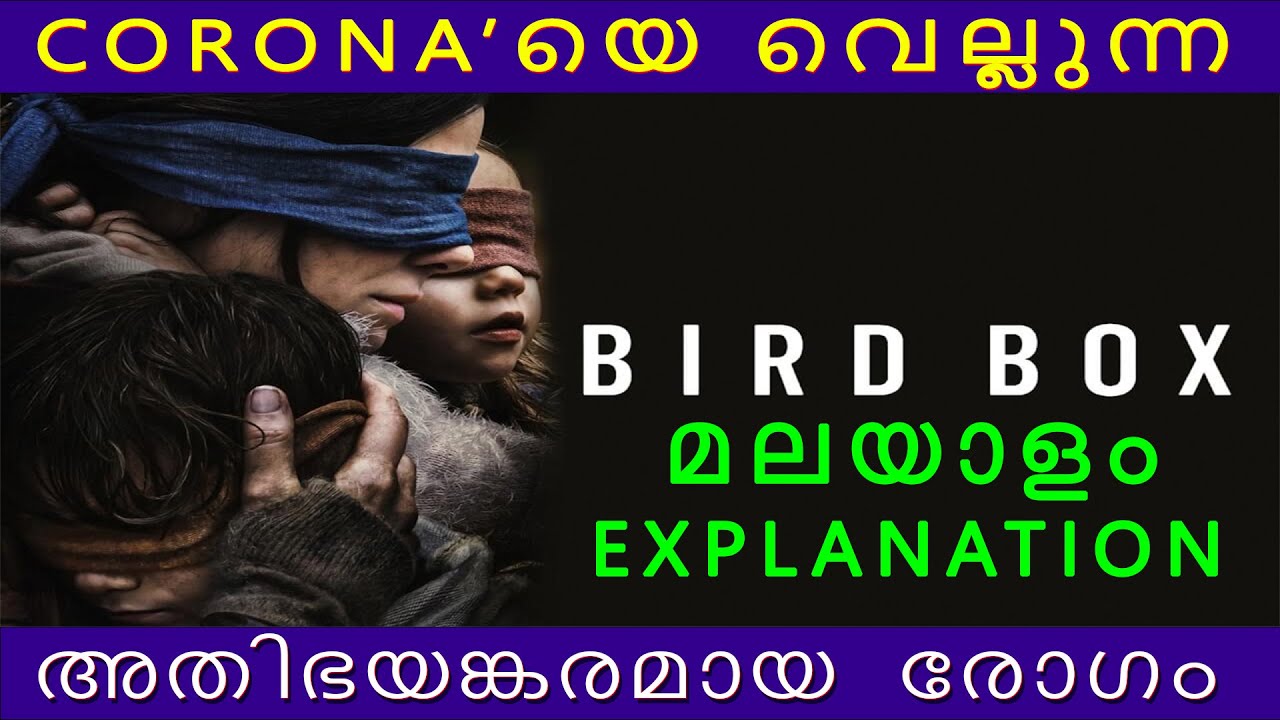 BIRD BOX (2018) | Full Movie Explanation in Malayalam | Malayalam Dubbed | Review