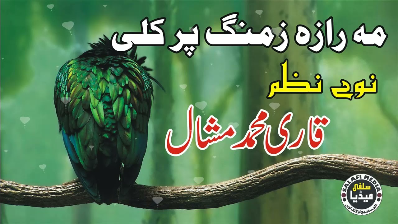 Ma Raza Zamung Pa Kali | Mohammad Mashal New Nazam