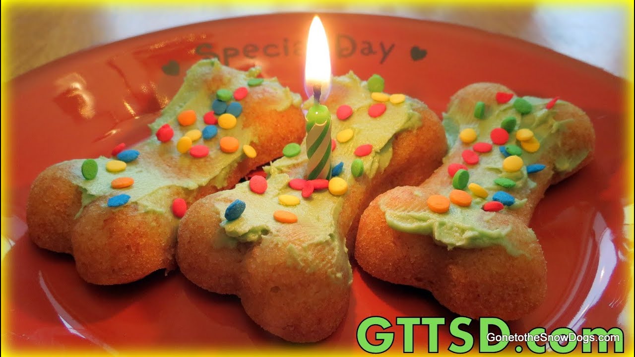 Birthday Pupcakes Homemade Dog Treats Recipe | Snacks with the Snow Dogs 26