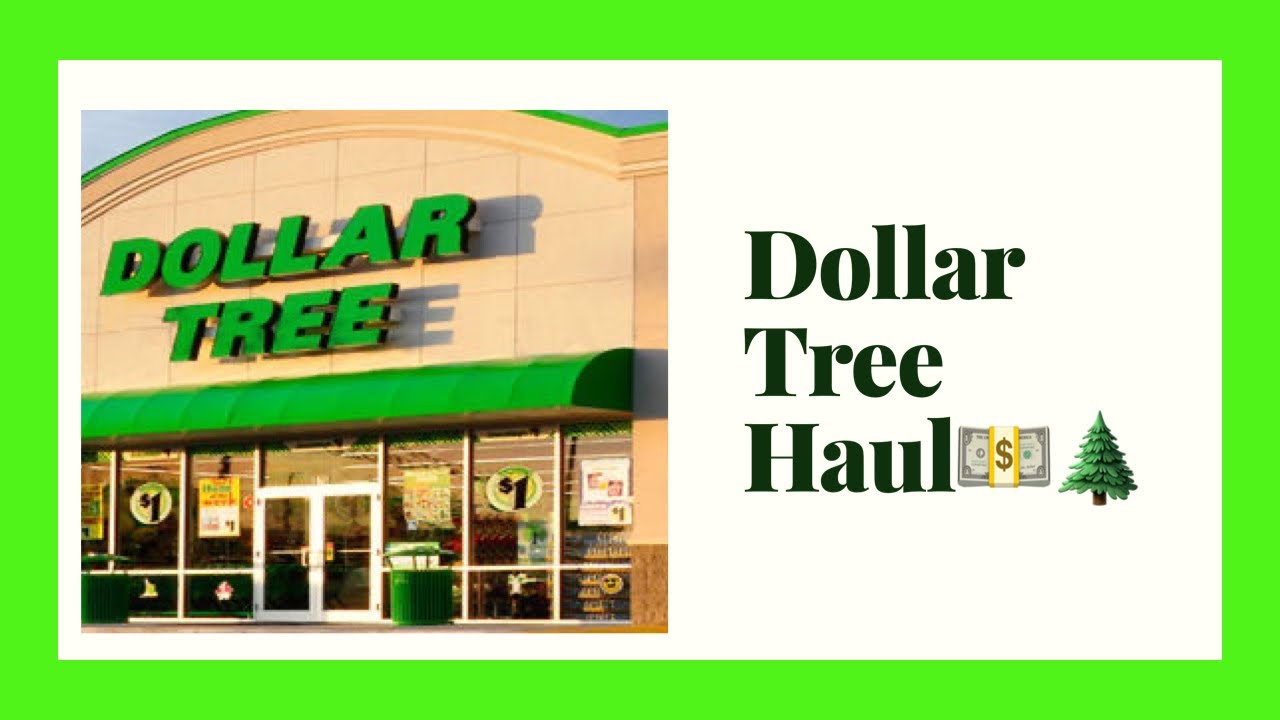DOLLAR TREE Haul// February  2020