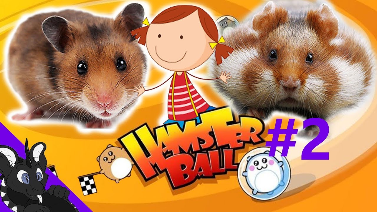 Family Friendly | Will We make it? | HamsterBall #2
