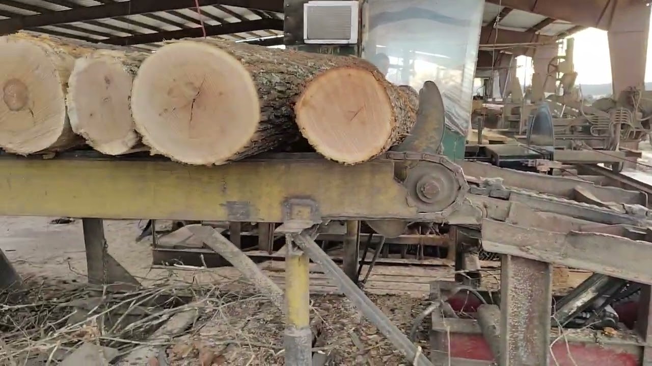 Sawing some oak #2