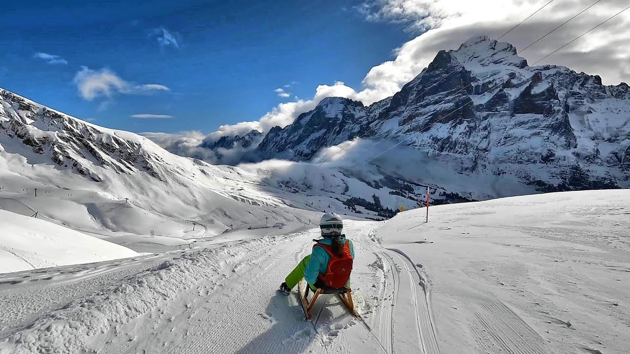 Sledding on Fresh Snow: Grindelwald First - Schreckfeld - Bort (Switzerland, March 2024)