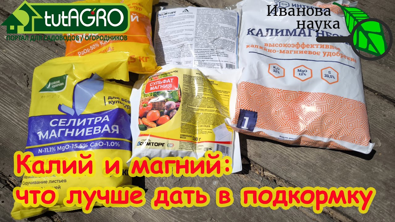 ТОМАТАМ В ПОДКОРМКУ ДАЮ ТОЛЬКО ЭТО! Калий и магний для томатов: что выбрать для подкормки.