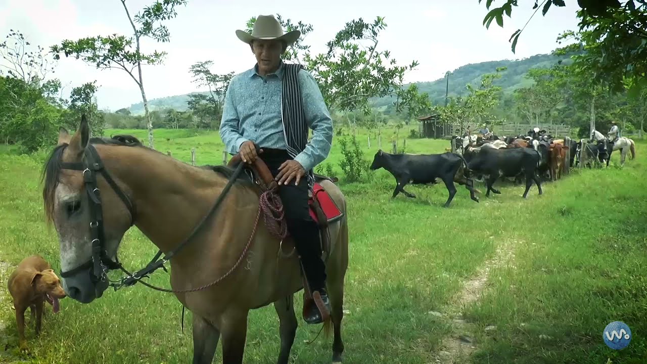 Juan Farfán - Llano y nostalgia