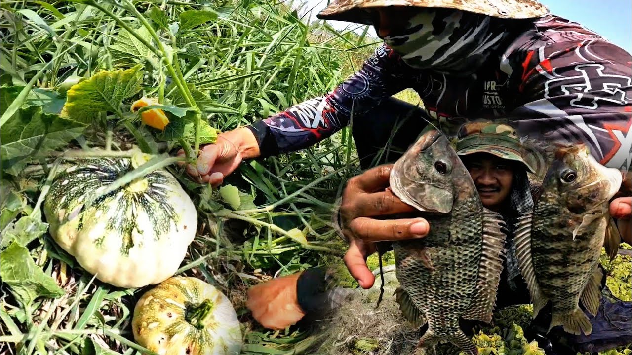 Kagulat Sa Laki Nakatago Sa Damuhan ,Kakaiba Ang Nahuli 