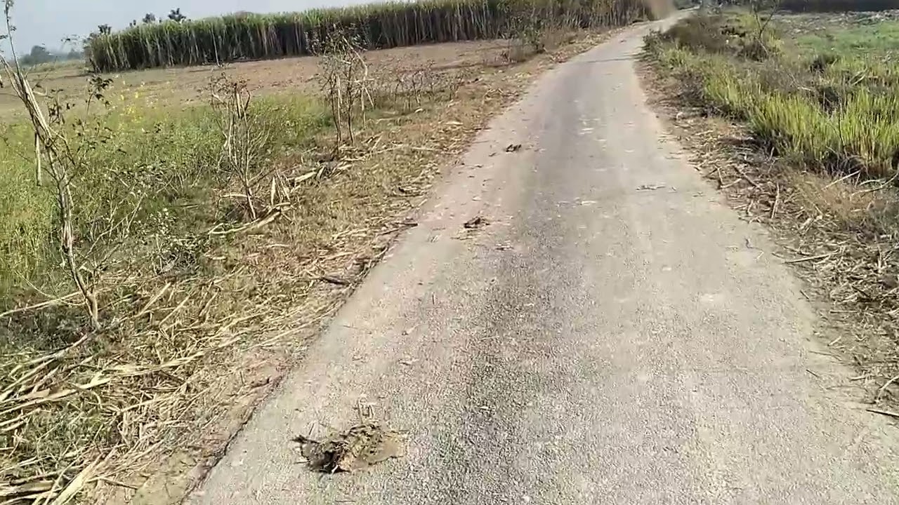 150 बीघा जमीनबिकाऊ है जिस भाई को लेना संपर्क करें डिमांड 10 लाख रुपया एकड़