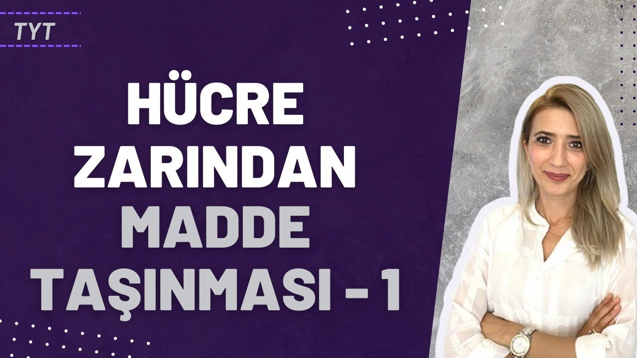 (17.Ders)  HÜCRE ZARINDAN MADDE TAŞINMASI 1| Seda Hoca Biyoloji 🧬