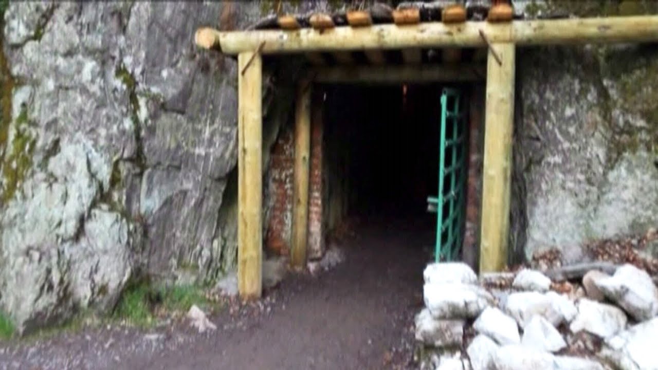 Secret Nazi treasure: Men claim to have found hidden train