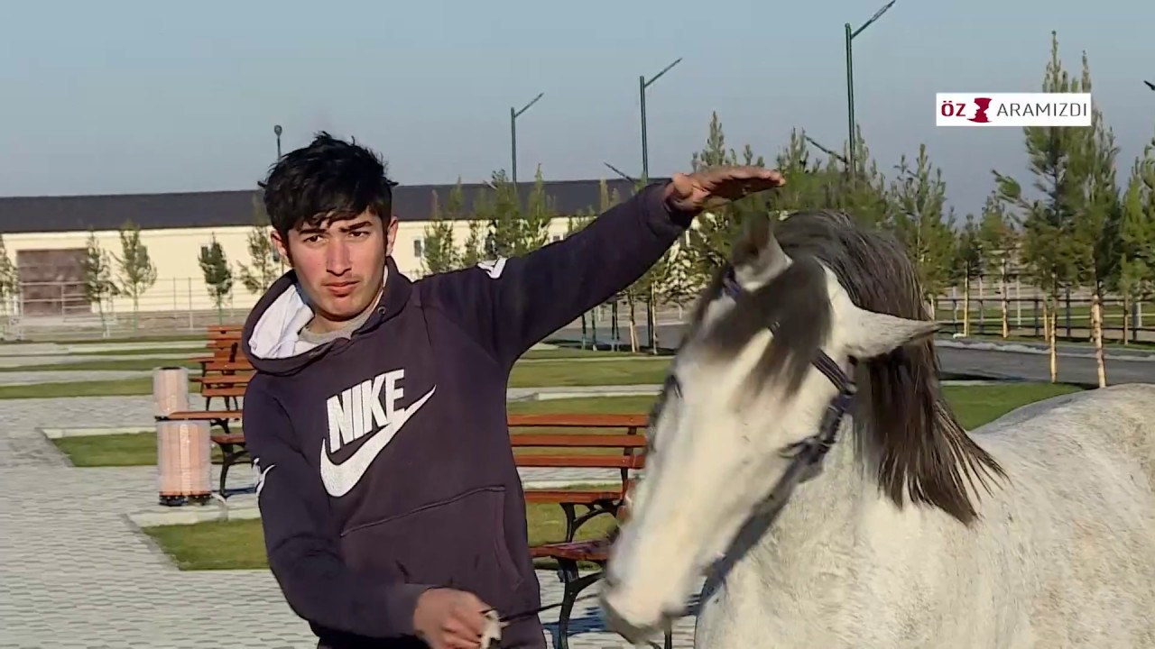 Dilbaz atlari - MÜTLƏQ baxin