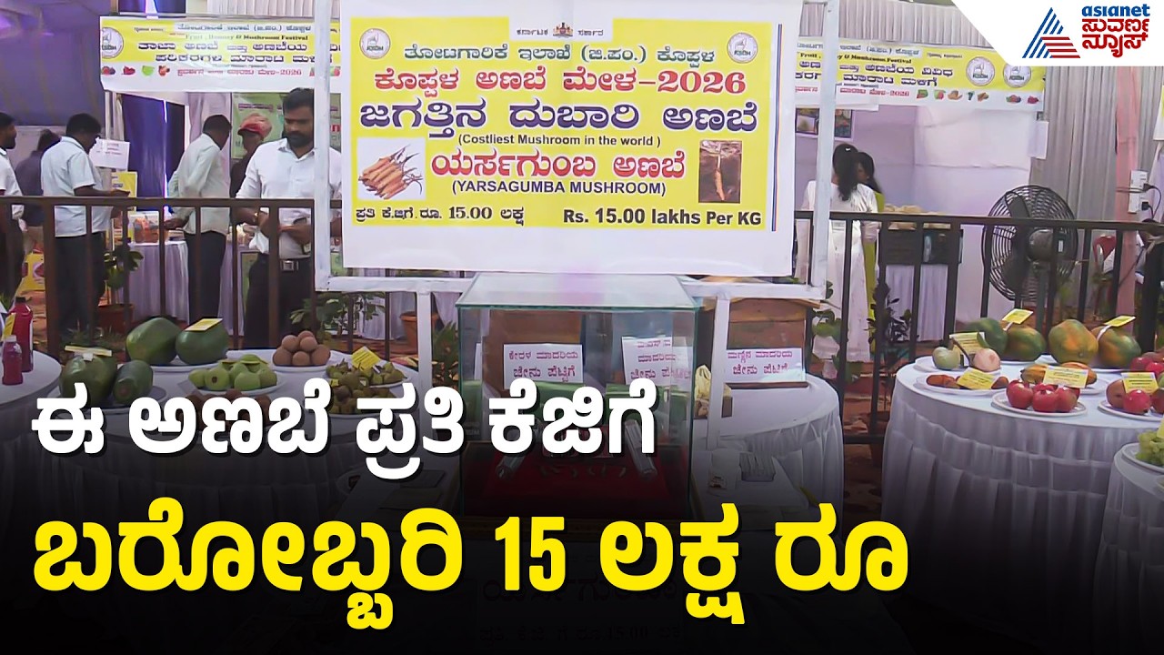 ಹಣ್ಣು ಮೇಳದಲ್ಲಿ ಗಮನ ಸೆಳೆಯುತ್ತಿದೆ ವಿಶೇಷ ಅಣಬೆ | Koppal | Yarsagumba Mushroom Price | Suvarna News