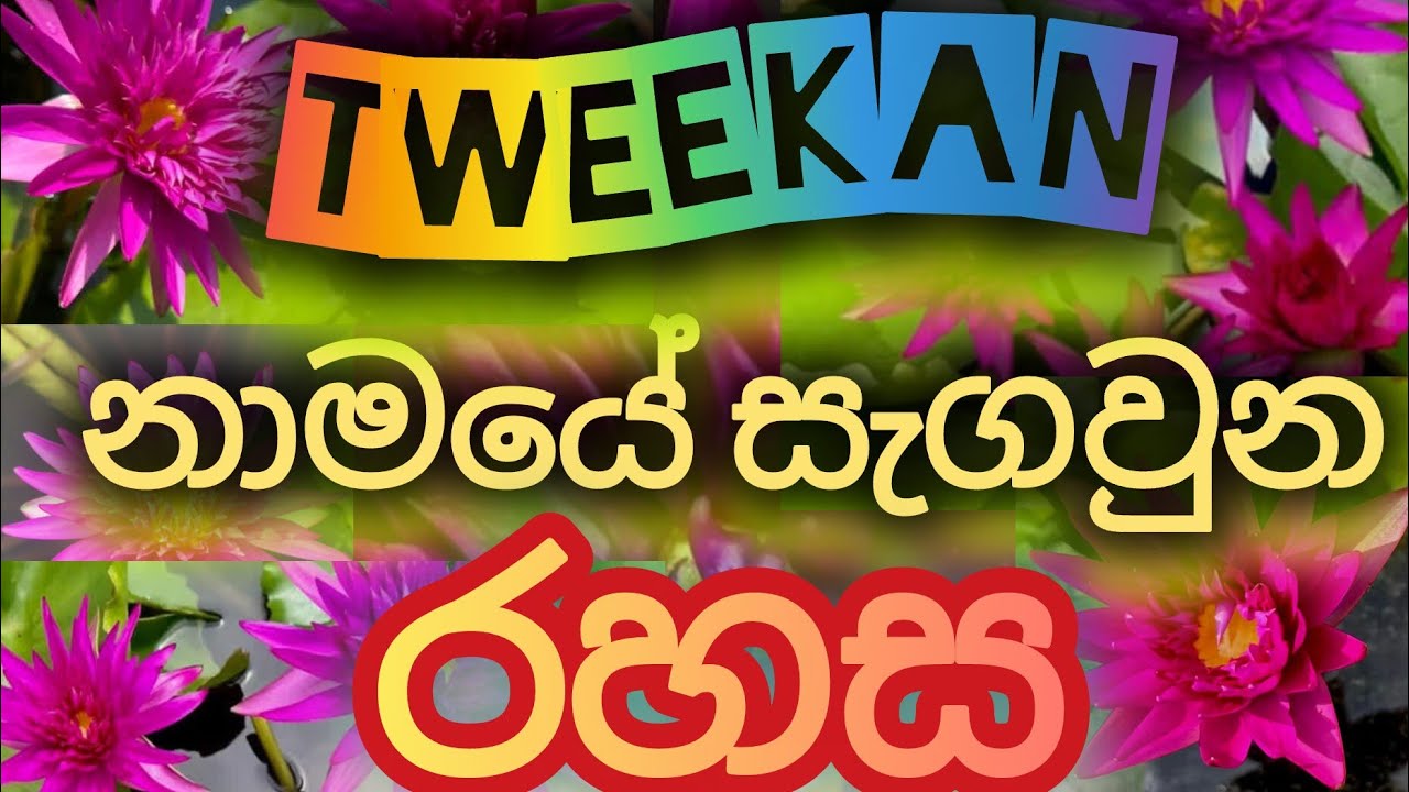 ට්වීකන් පෙති බේරෙන මලක් බලමුද🪷🔥💞#flowers#viral#subscribe#subscribers#waterlily#fypシ゚viral#milionviws