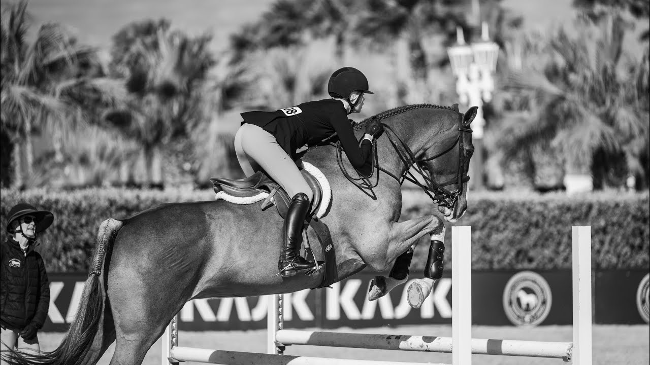 🥉 in the USHJA Jump Seat Medal