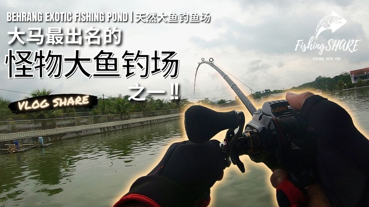 【FishingShare】BEHRANG EXOTIC FISHING POND|天然大鱼钓鱼场！ 大马最出名的怪物大鱼钓场之一！One of MOST FAMOUS MONSTER PAYPOND
