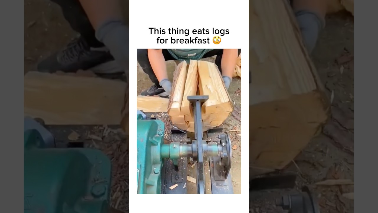 This thing eats logs for breakfast 😳