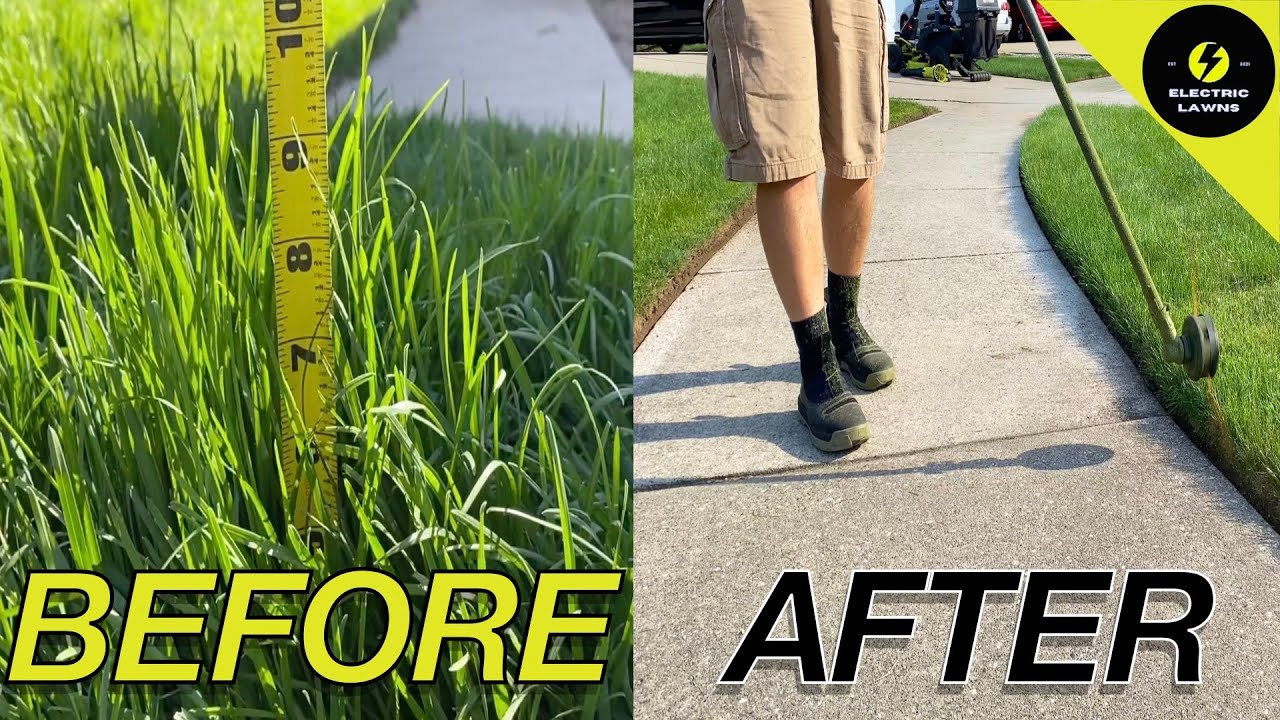 Ryobi Battery Power -vs- Overgrown Lawn
