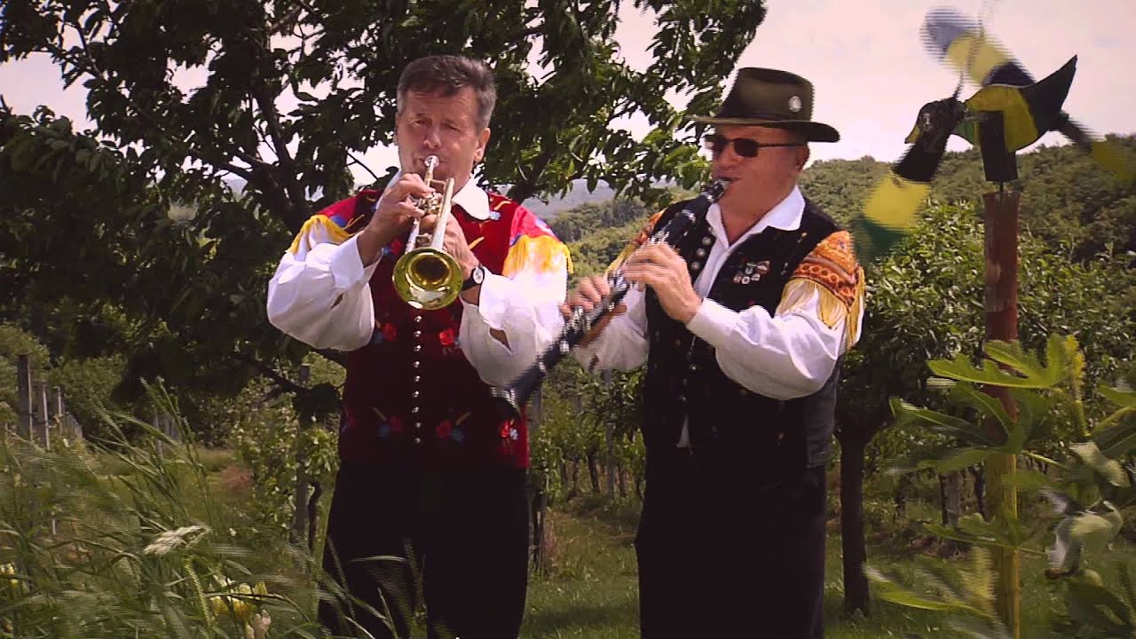 RUDI ŠANTL - BREZ MUZIKE ŽIVLJENJA NI