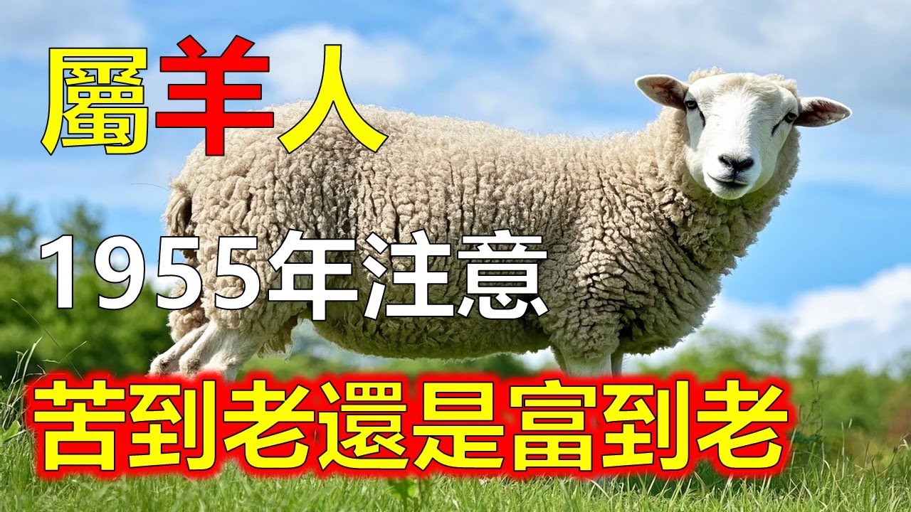 苦到老還是富到老？1955屬羊人的命運差別竟然只差這一條！#2026羊#生肖羊 #1955 羊