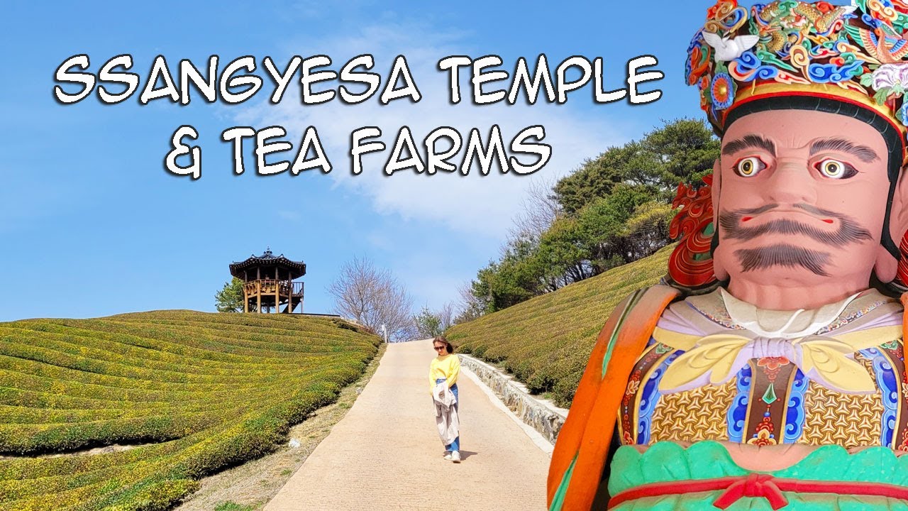 Jirisan's Hadong Region – Ssangyesa Temple & Tea Farms
