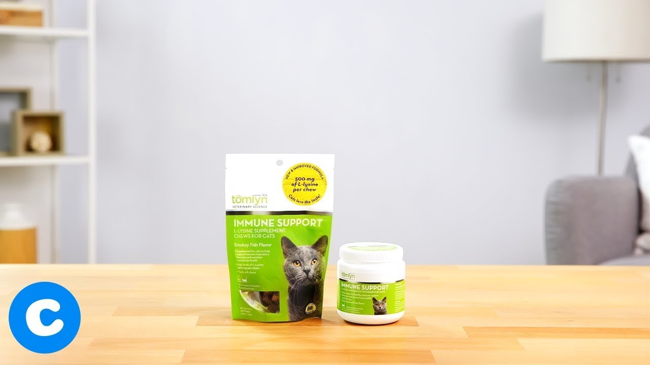 Tomlyn Immune Support L-Lysine Supplements | Chewy
