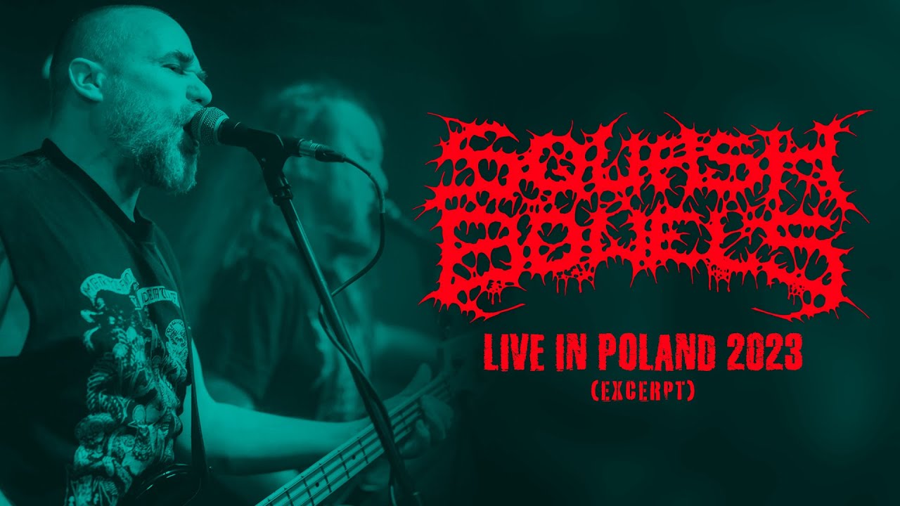 SQUASH BOWELS - Live in Poland 2023 (excerpt)