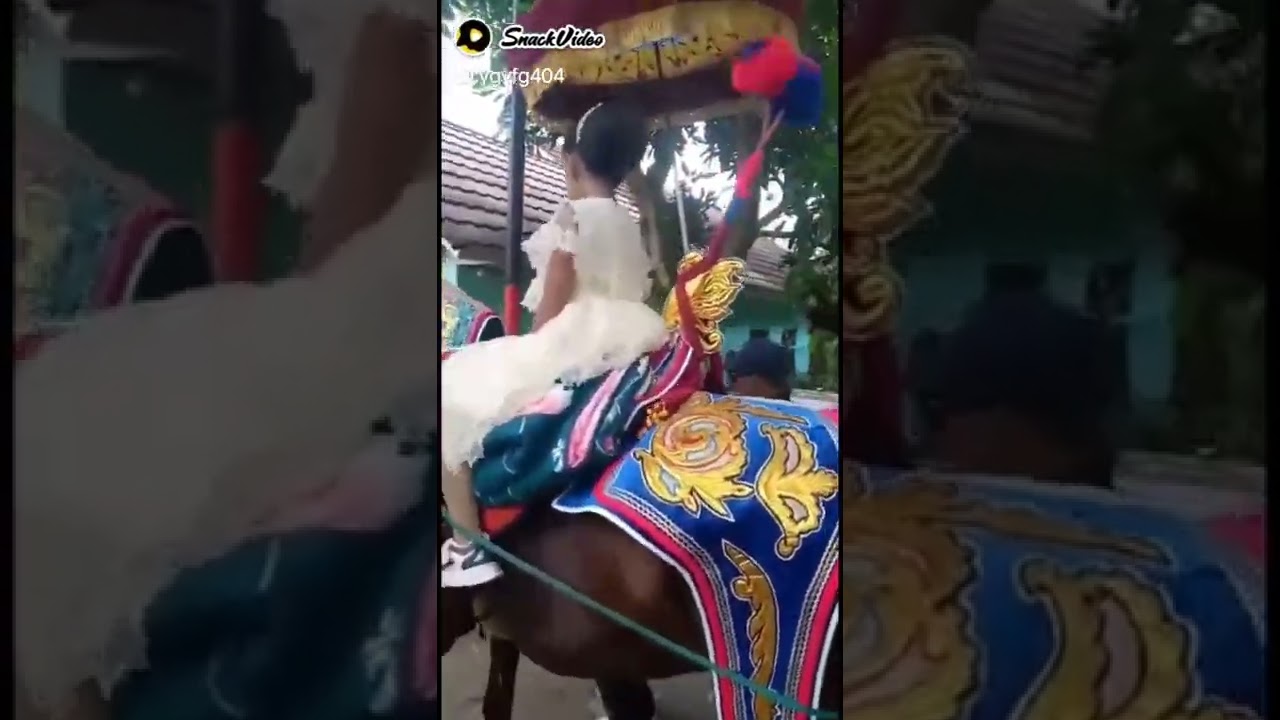kuda renggong di conggeang