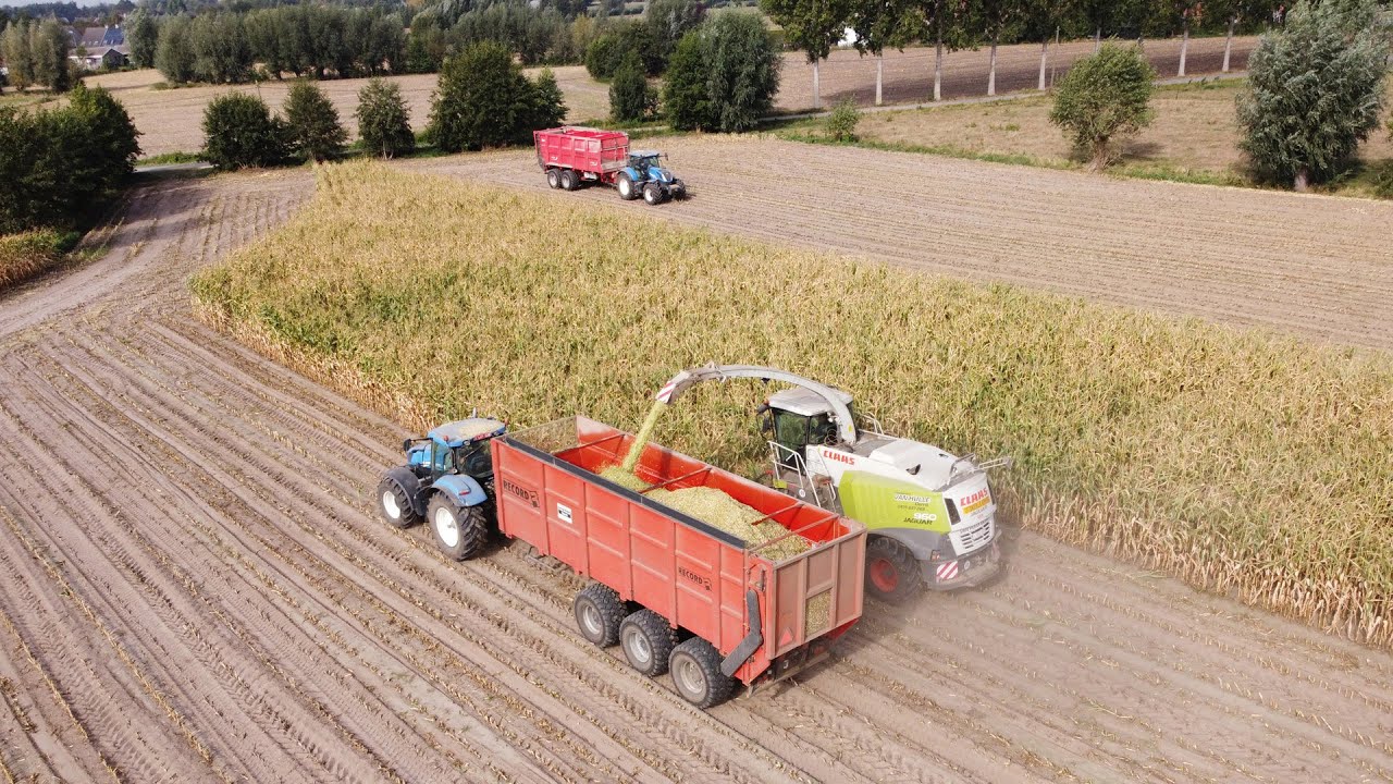 Claas Jaguar 960 - Loonwerken Gerrit Van Hulle - mais 2020