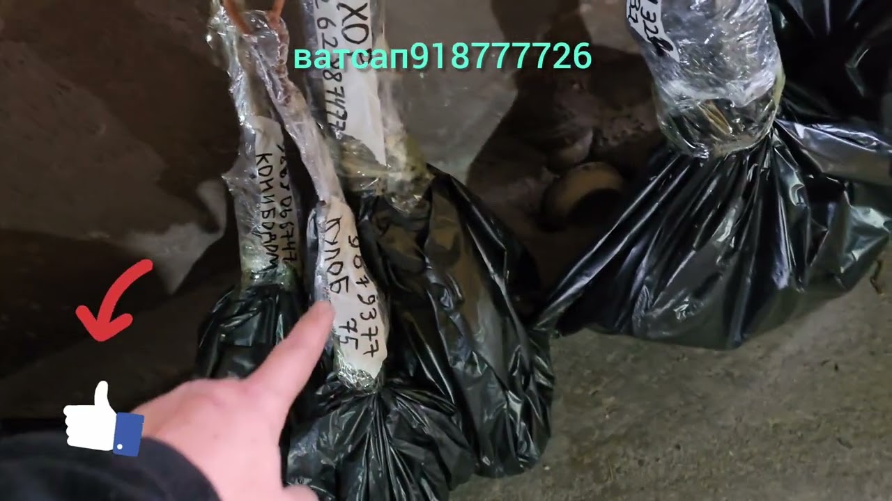 АВАТАР–ниҳол бо нархи ҳамагӣ 10 сомонӣ🚚Доставка ба тамоми минтақаҳо танҳо WhatsAp нависед: 918777726