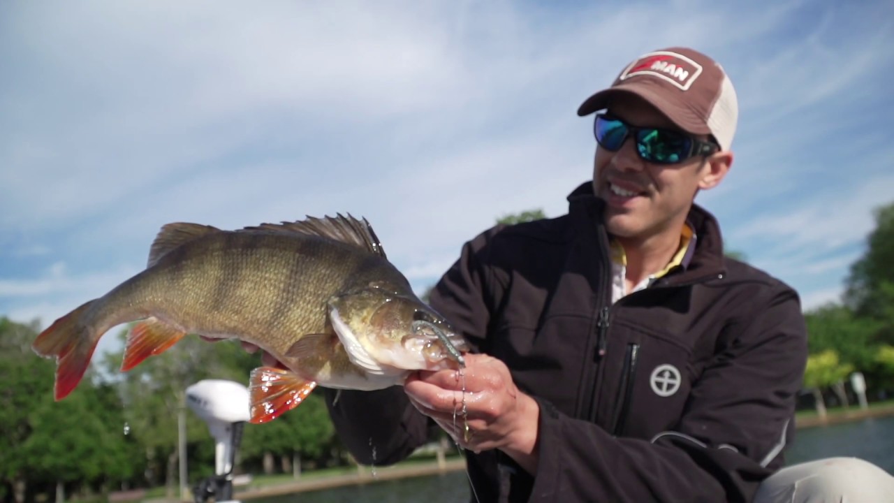 Angus James  - Top 3 Redfin Lures
